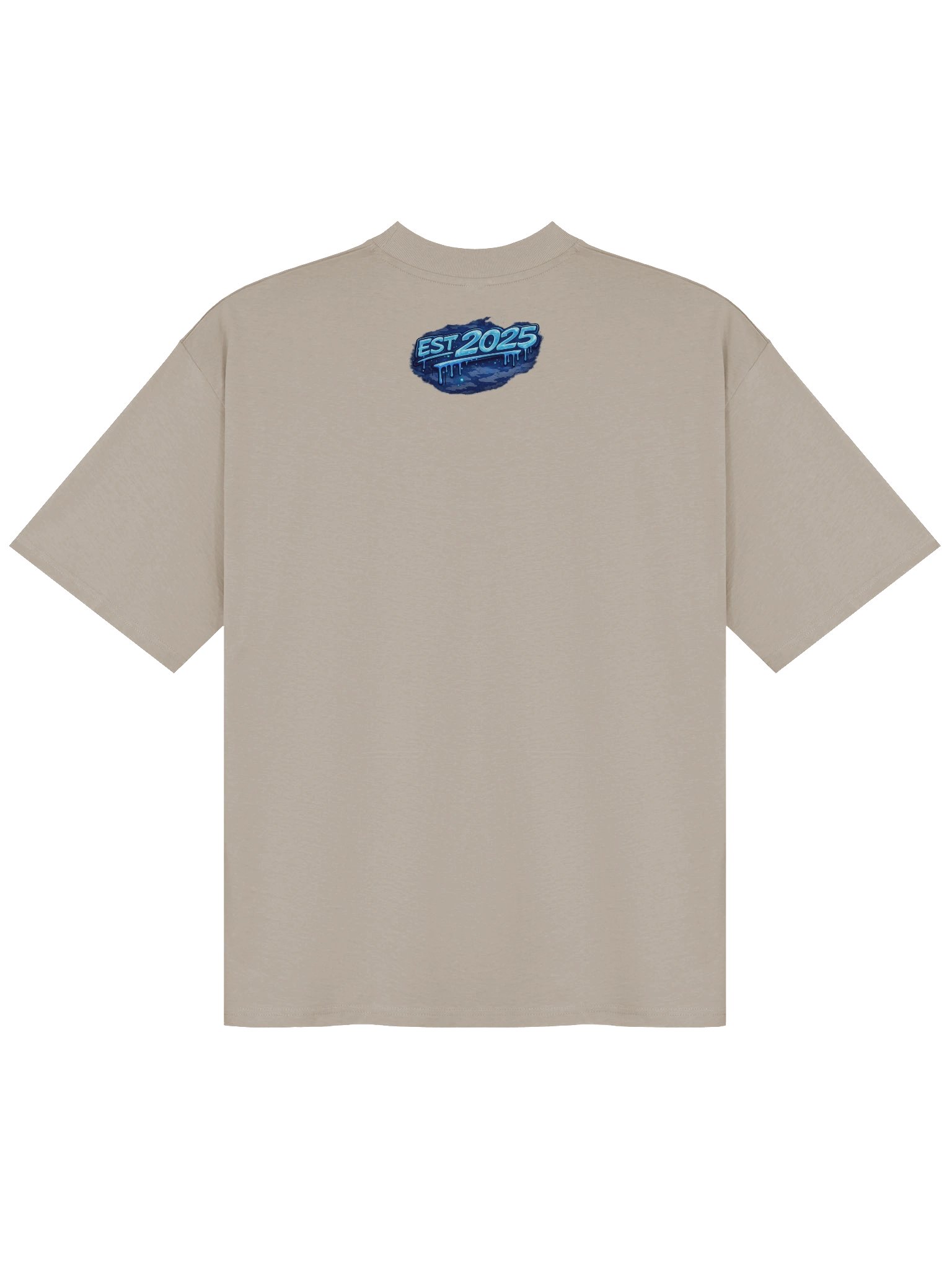2P Content Streetwear Oversized Tee product image (8)