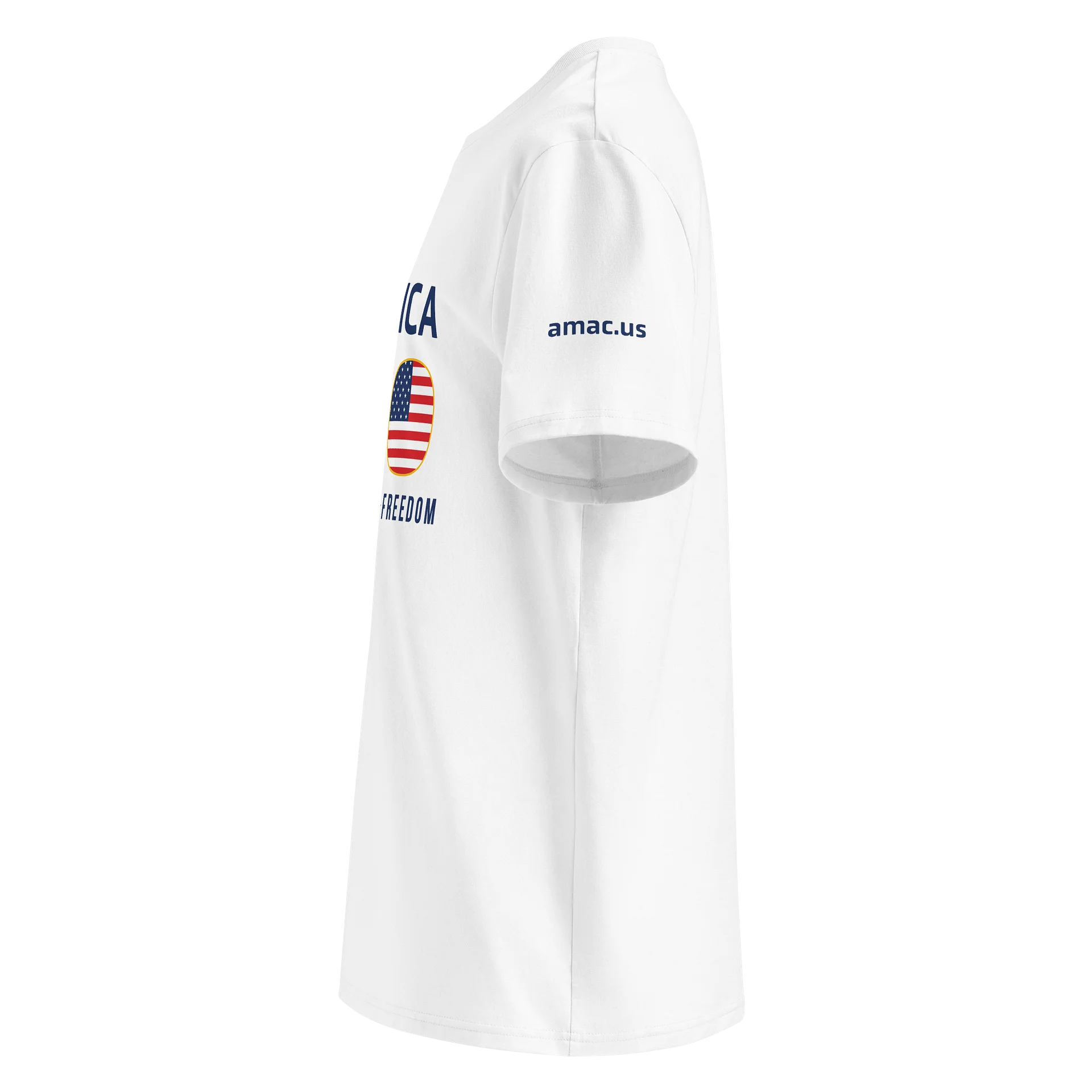 The America 250 Commemorative Liberty Tee product image (15)