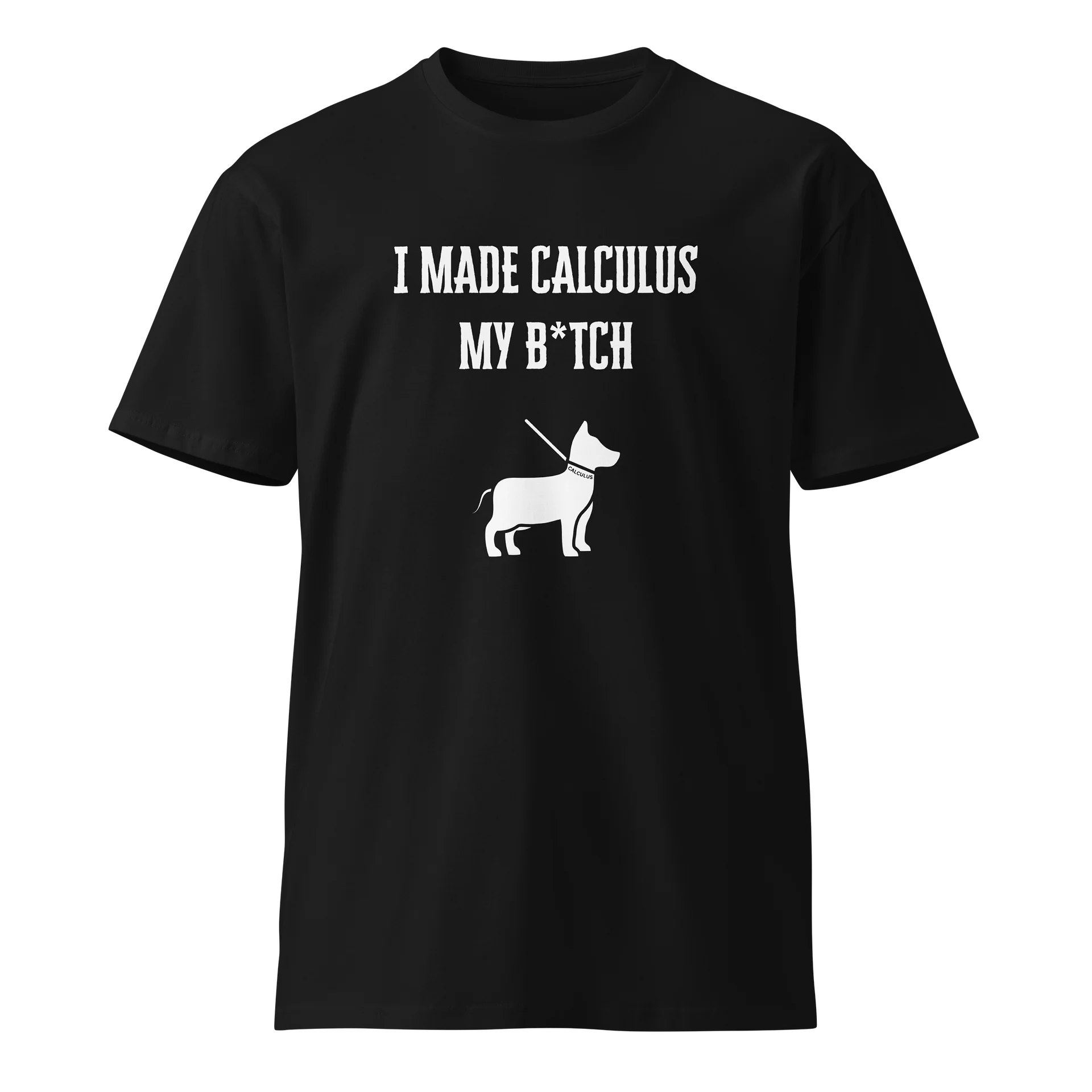 I Made Calculus My B*tch T-Shirt product image (1)