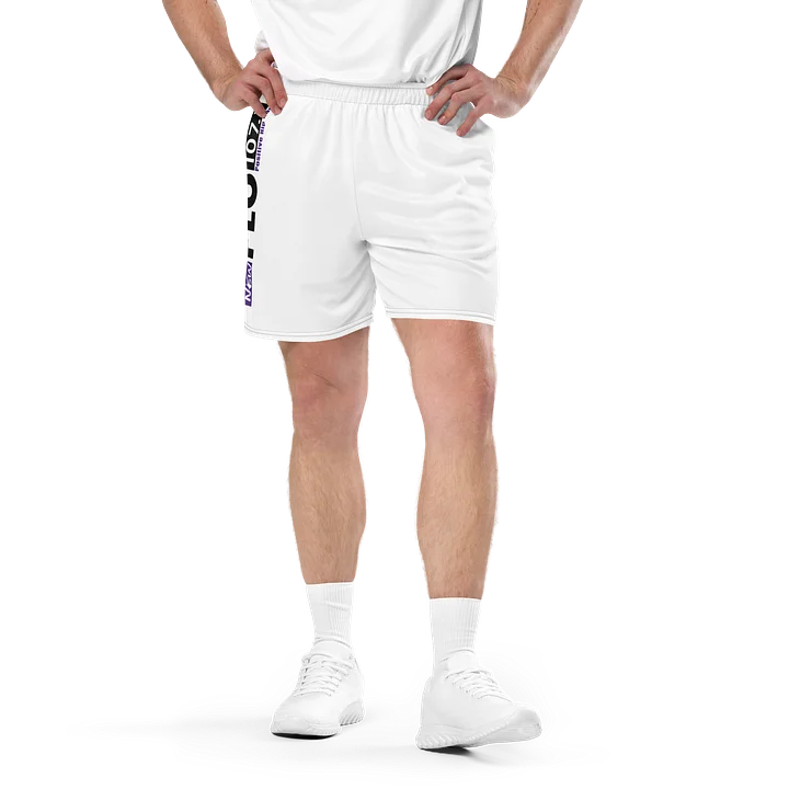 THE NEW FLO 107.1 Mesh Shorts product image (1)