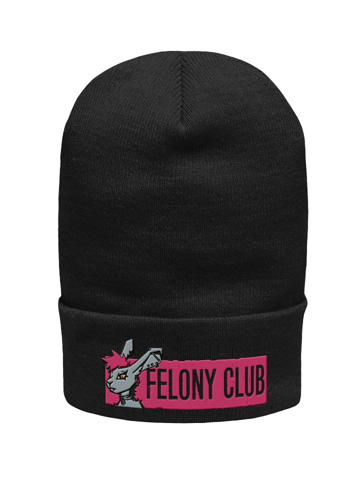 FELONY CLUB BEANIE product image (1)