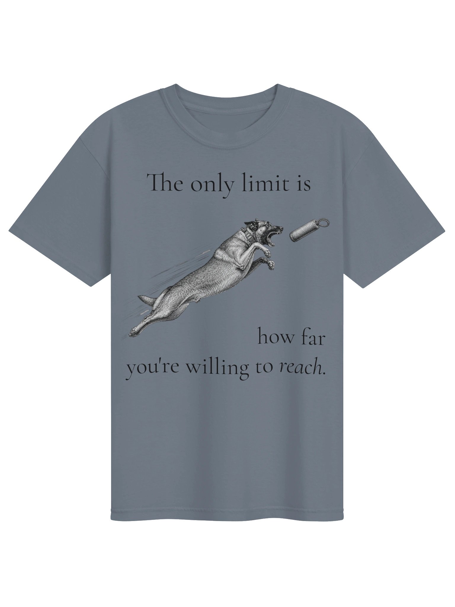 Only Limit Is How Far You're Willing to Reach product image (4)