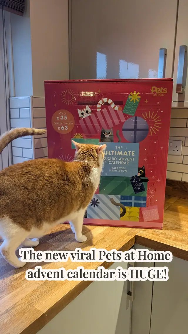 I was actually stunned when I saw the size of it, it's bigger than the kid's ones this year! #adventcalendar #petsathome #catsoftiktok 