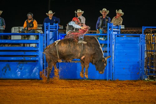 Eight Seconds of Thunder
A high-stakes clash of momentum and pure determination in the arena.