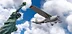 USA 250th - Cessna 172 Paint