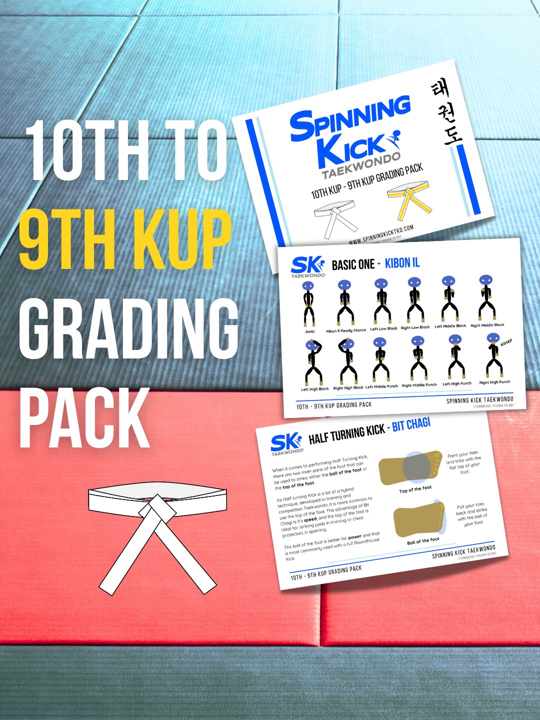 10th to 9th Kup Grading Pack (Individual Licence) product image (1)