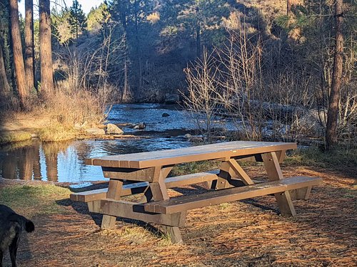 Romantic picnic setting featuring a dog's ass in the corner

#pnw #fallvibes #sunsetglow #riverside #picnic