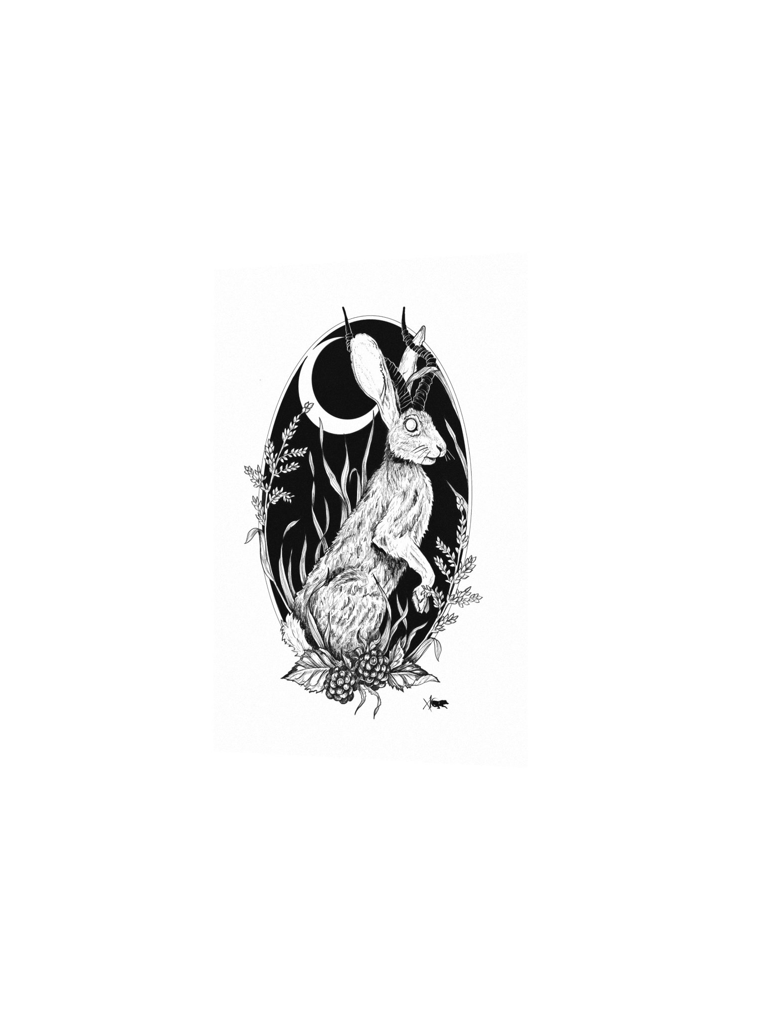 Jackalope Print product image (3)