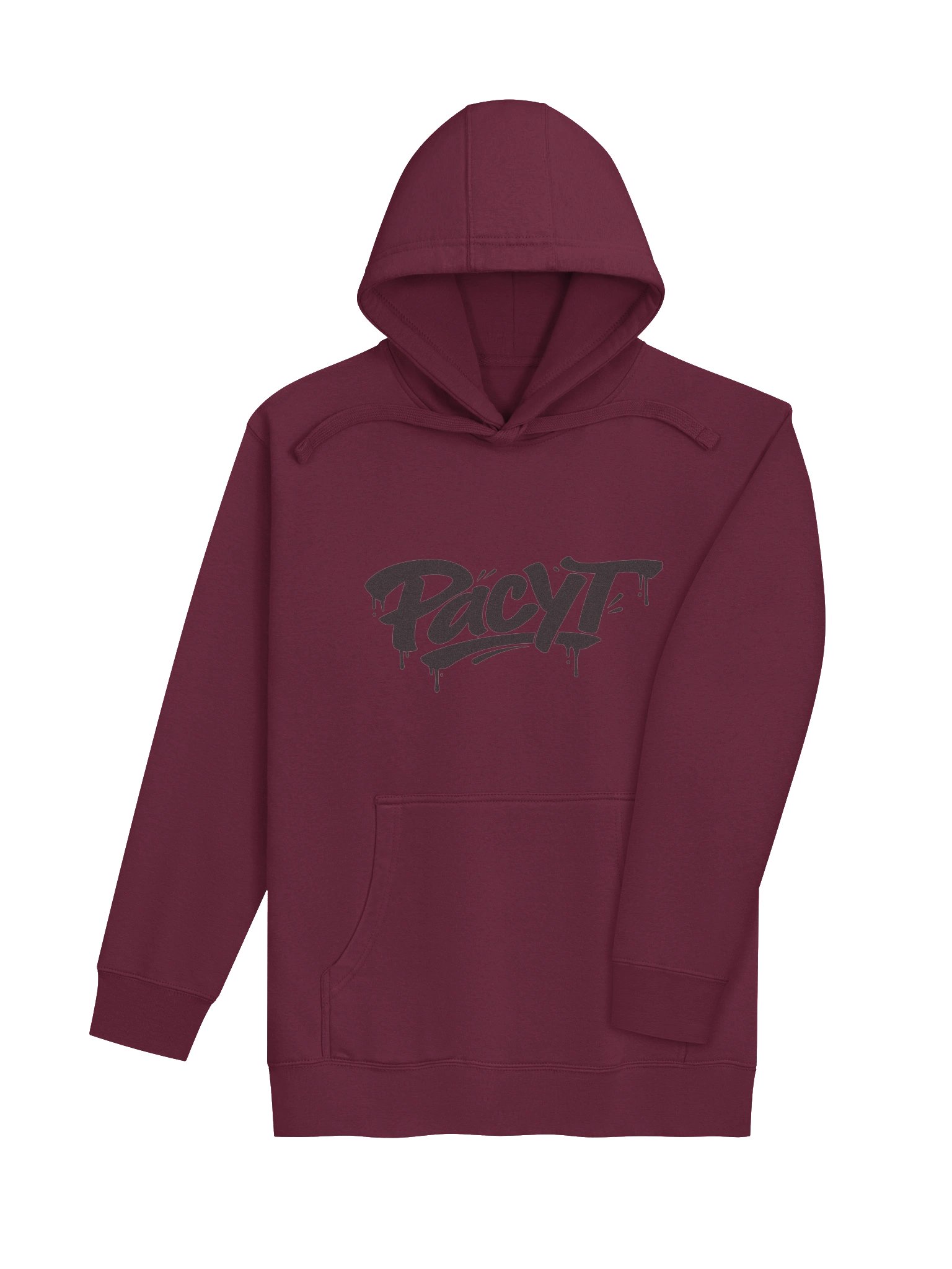 PacYT Hoodie product image (4)