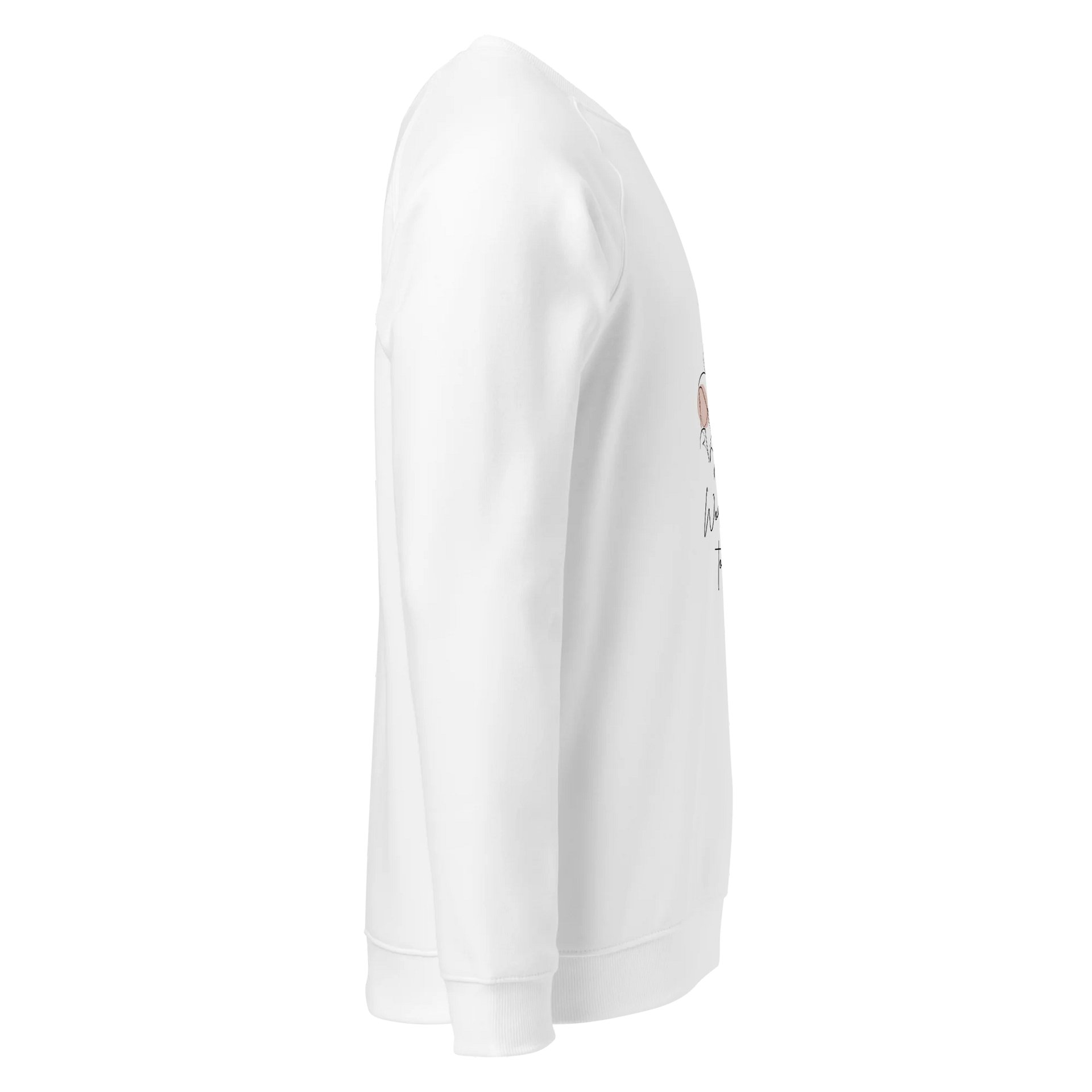 Women's Organic Raglan Sweatshirt ORFB0148 product image (3)