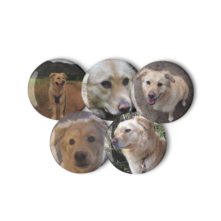 Milo's Life Button Collection (February 2026) product image (3)