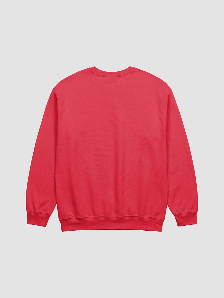 Bear Stare Sweatshirt product image (30)