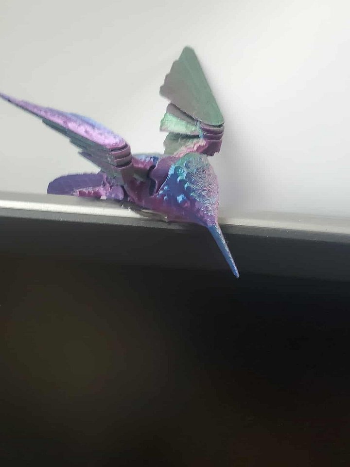 Humming Bird product image (2)