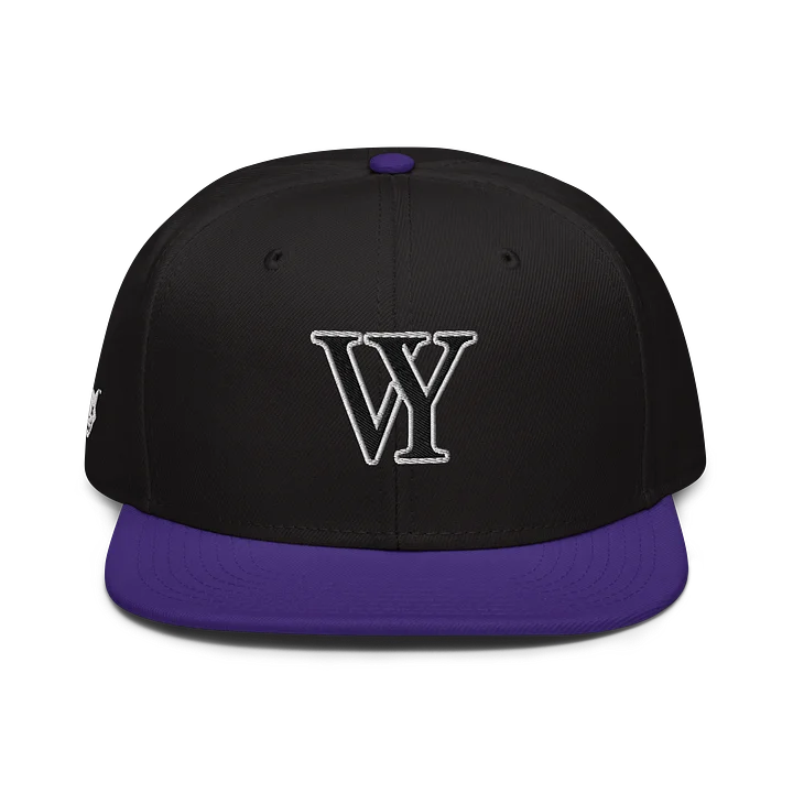 CLASSIC VY VYNING SnapBack product image (1)