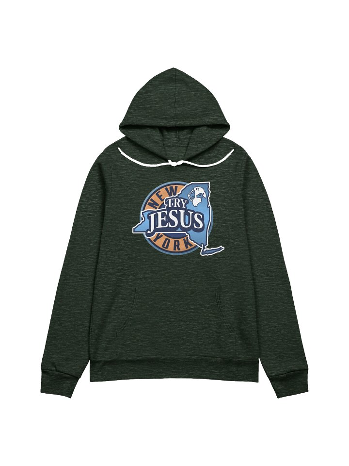 Hoodie (Unisex) product image (1)