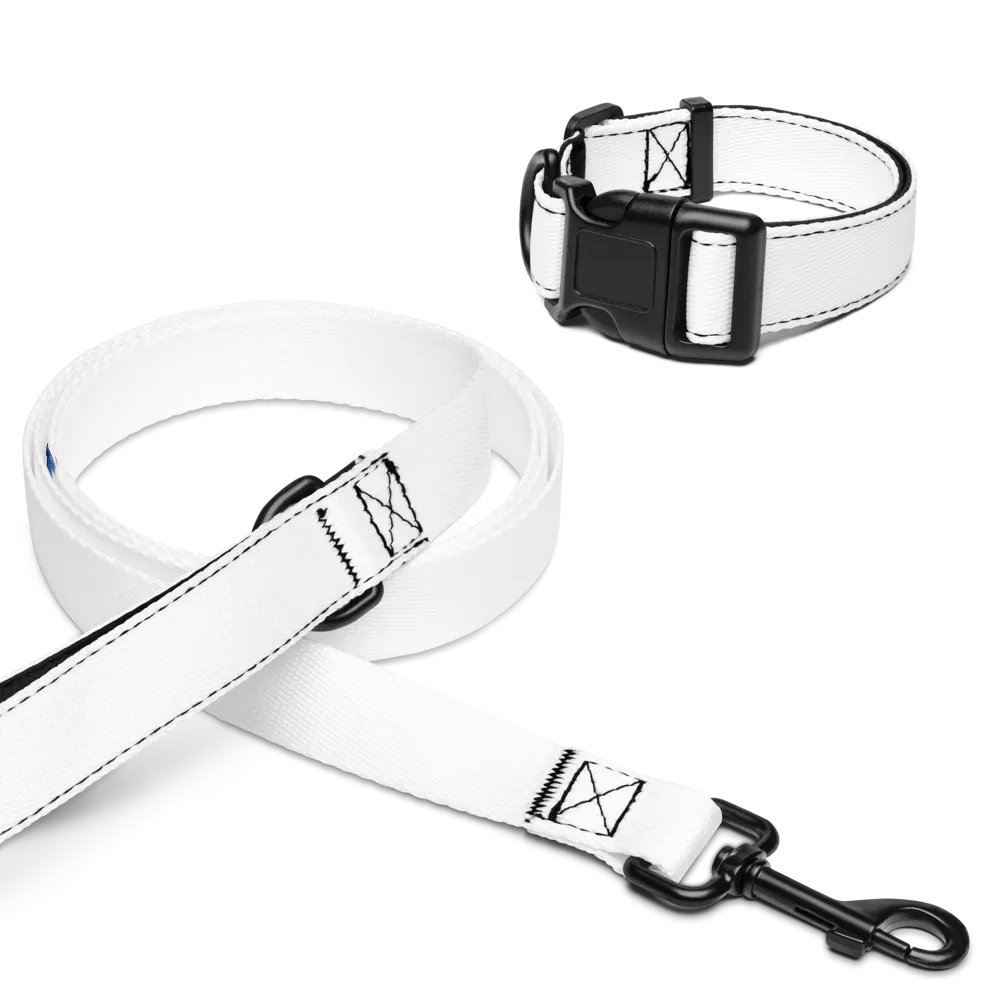 Kid Airplane (Pet Collar & Leash) product image (2)