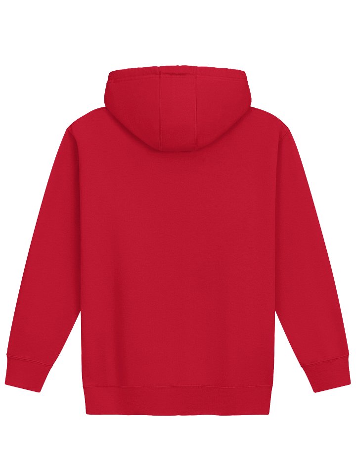 Crash Out Boys - Hoodie product image (17)