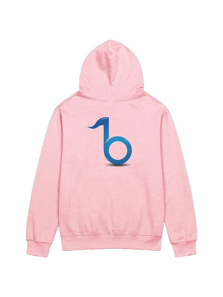 Dixboro Music Academy Hoodie – Pink product image (2)