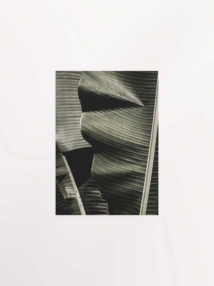 Banana Leaves Enhanced Matte Poster product image (2)