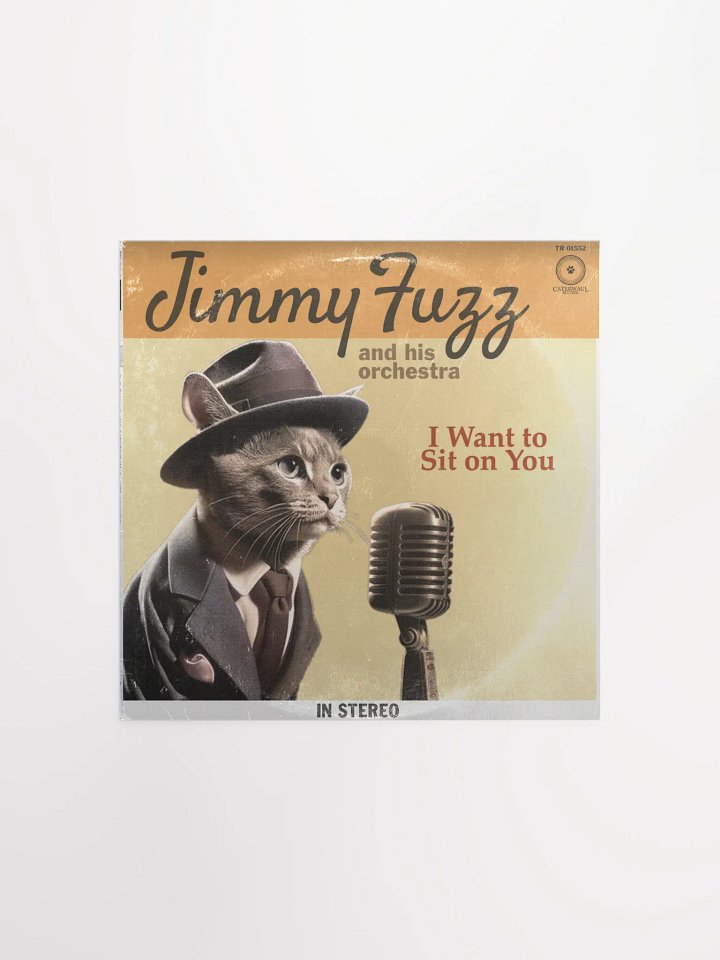 Jimmy Fuzz Poster - I Want To Sit On You album jacket (front) - 12