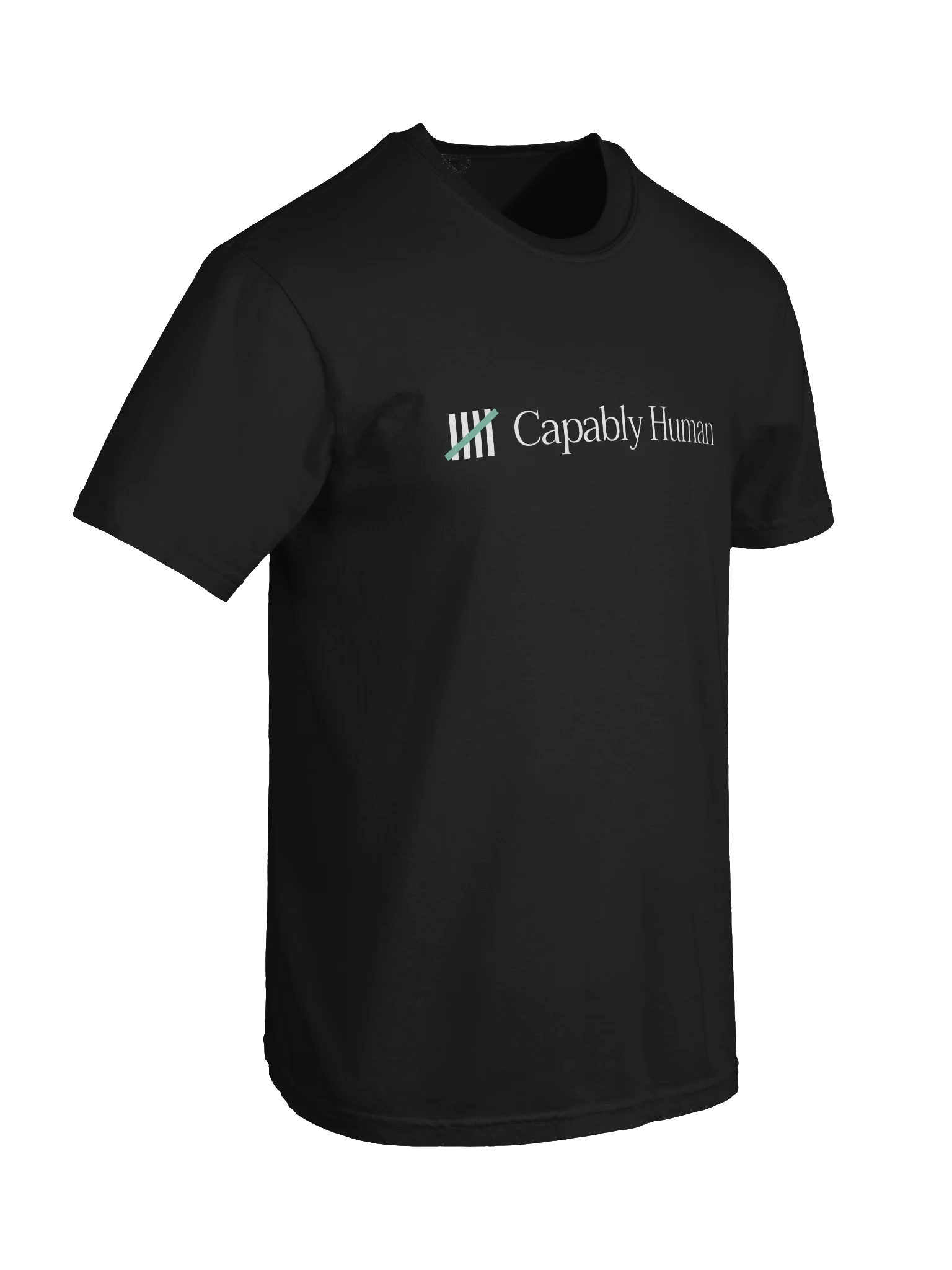 Capably Human - Dyed Heavyweight T-Shirt product image (9)