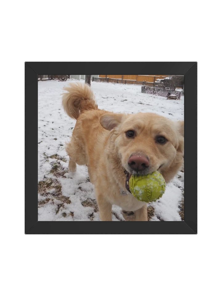 Fetch - Milo's Life Square Framed Poster product image (3)