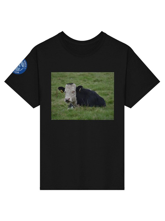 Cow T-Shirts
