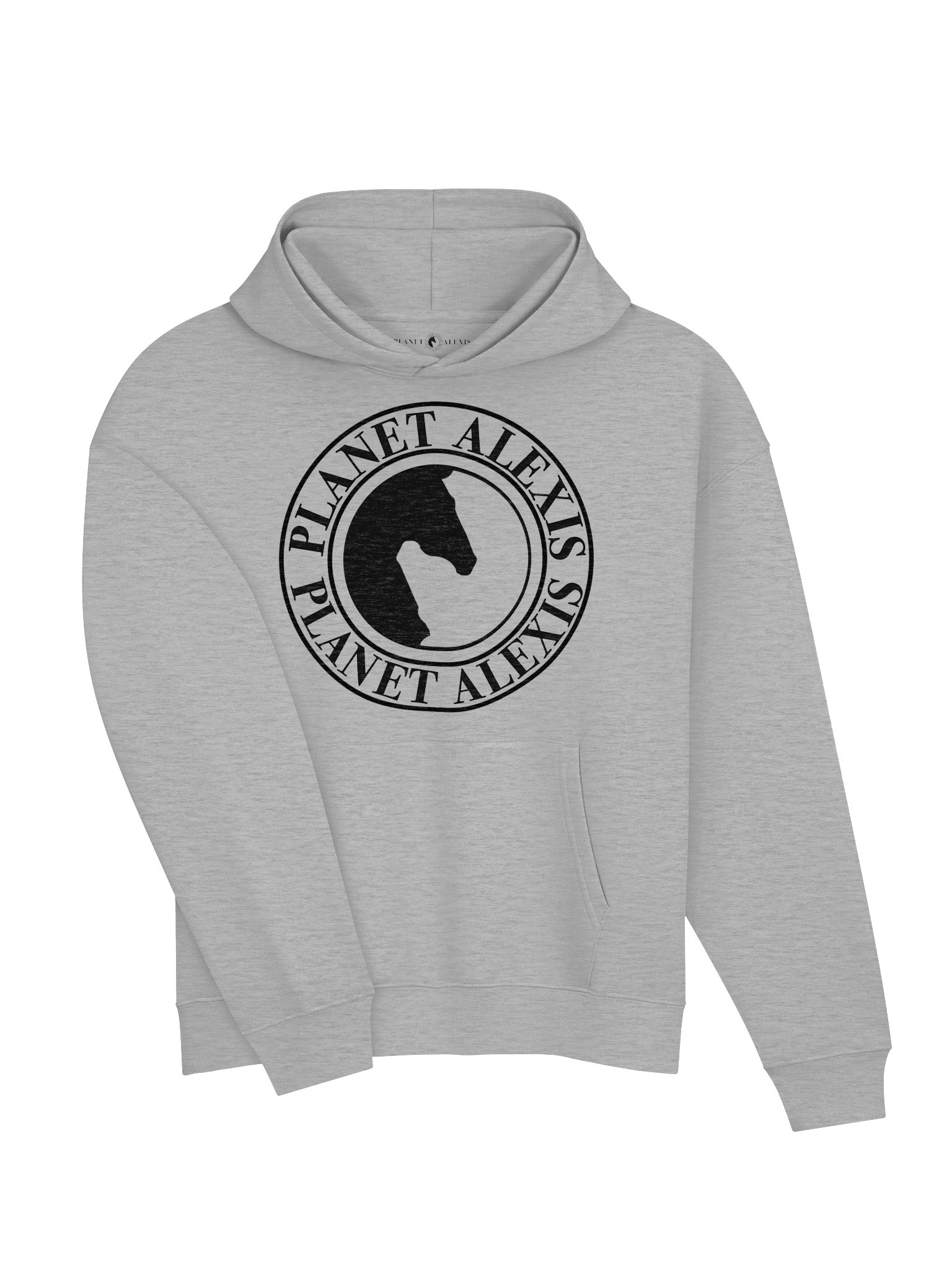 Organic Cotton Blend Hoodie product image (4)