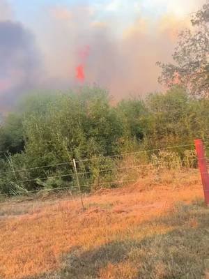 #fyp #wildfire 