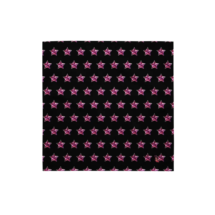 Starr Bandana product image (1)