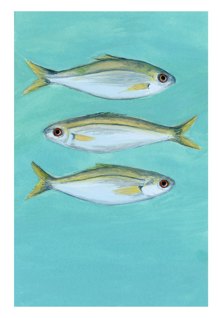 Boops boops boops - ORIGINAL product image (1)