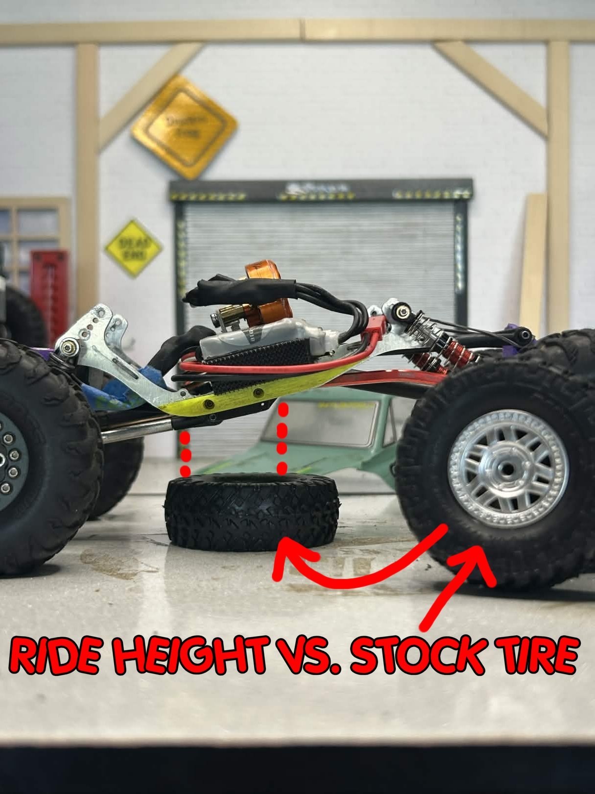 HAGGARD GECKO product image (6)