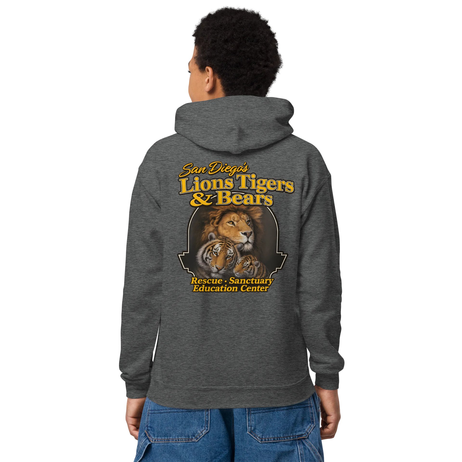 LTB Legacy Logo Youth Hoodie product image (11)