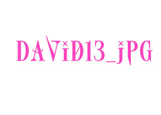 David13_jpg