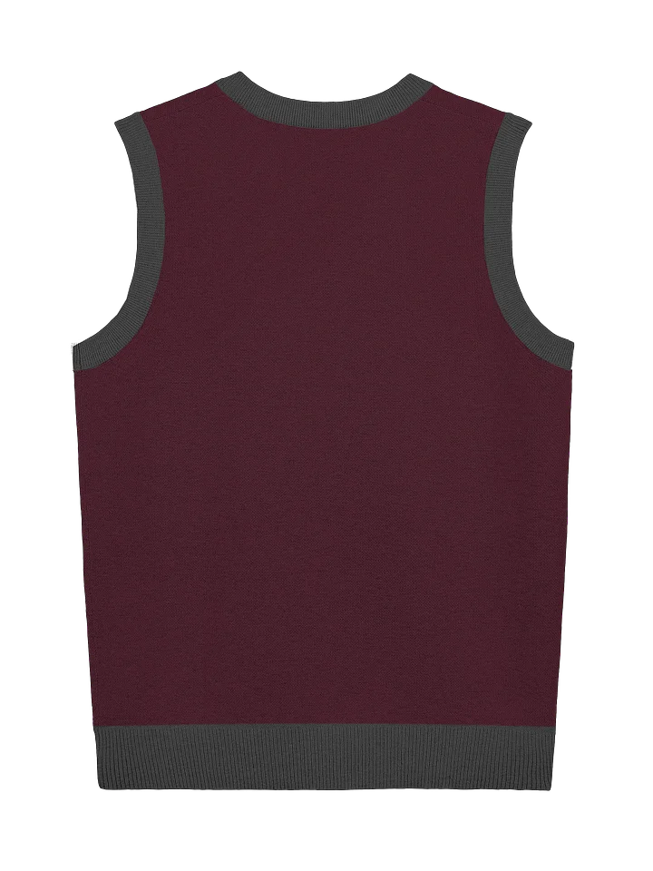 House 746 Luxury Knit Vest - Burgundy product image (2)