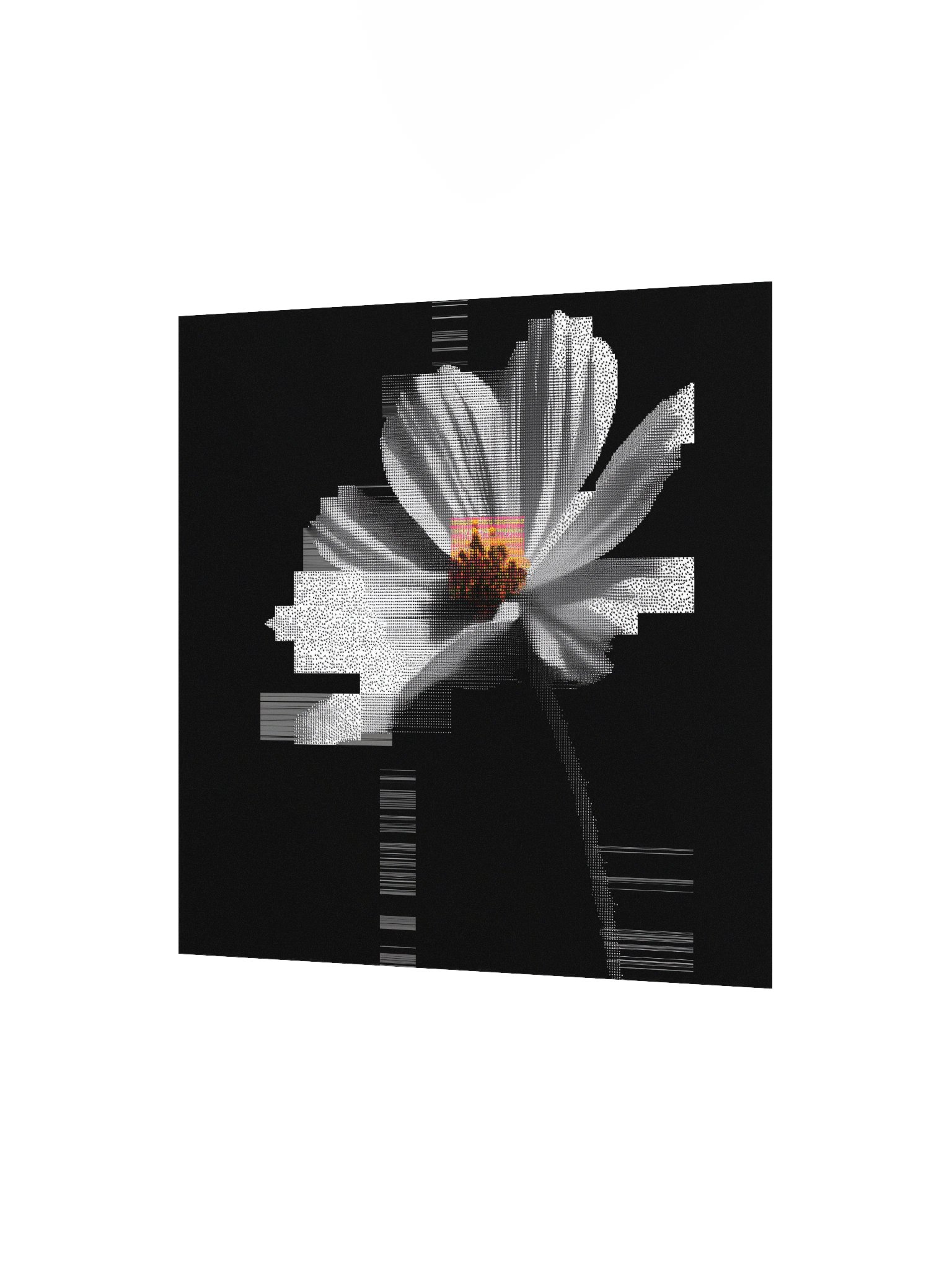 Flora.exe product image (9)