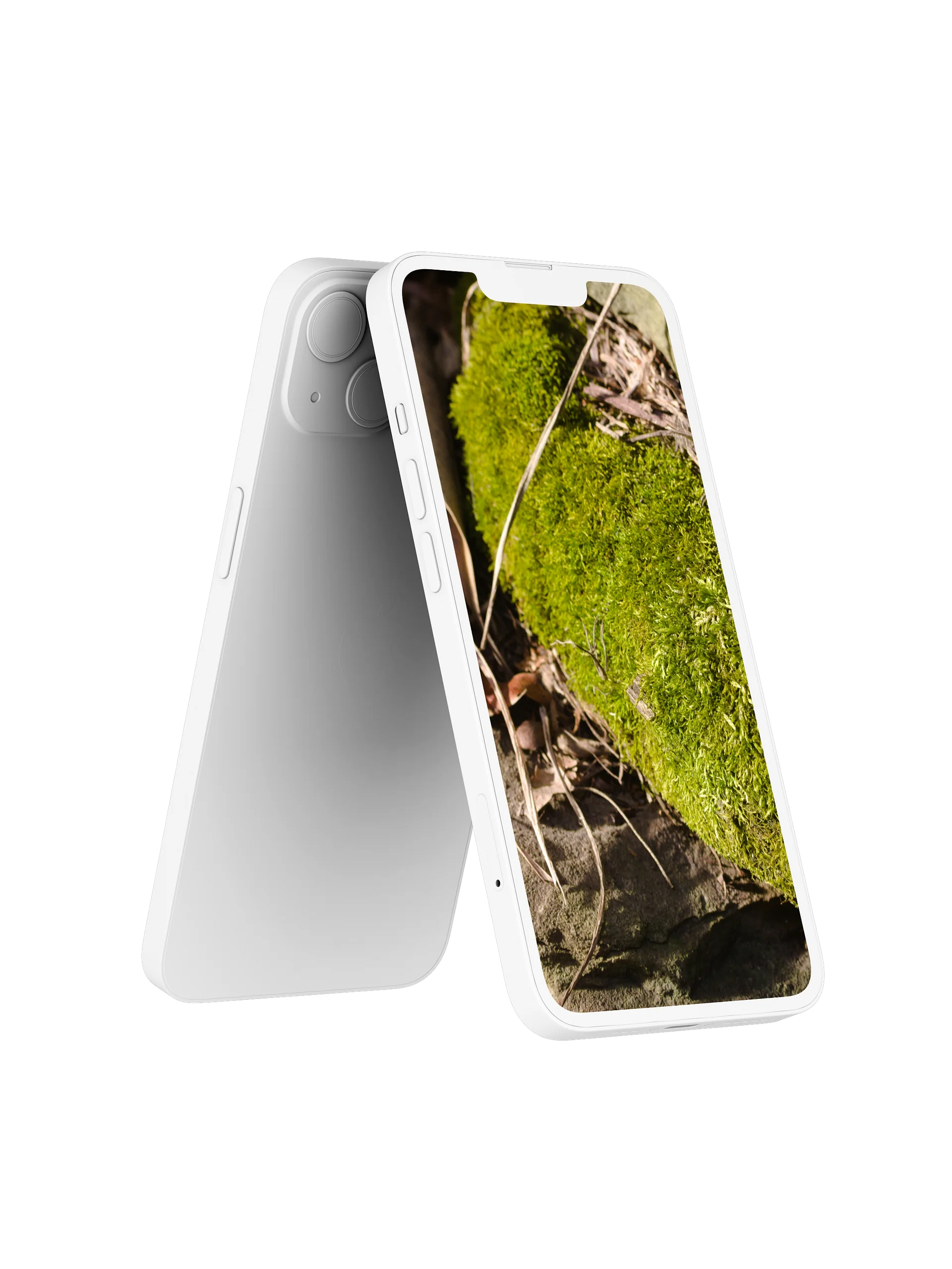 Moss on the Rocks Digital Wallpaper Set product image (2)