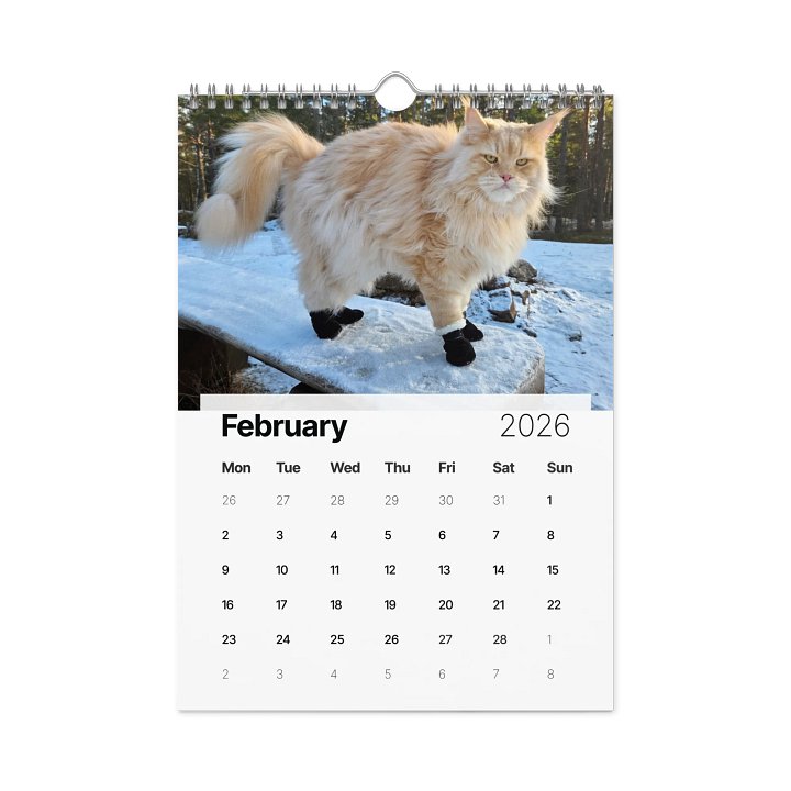 2026 Calendar - Maine Coon Adventures + Kittens product image (1)