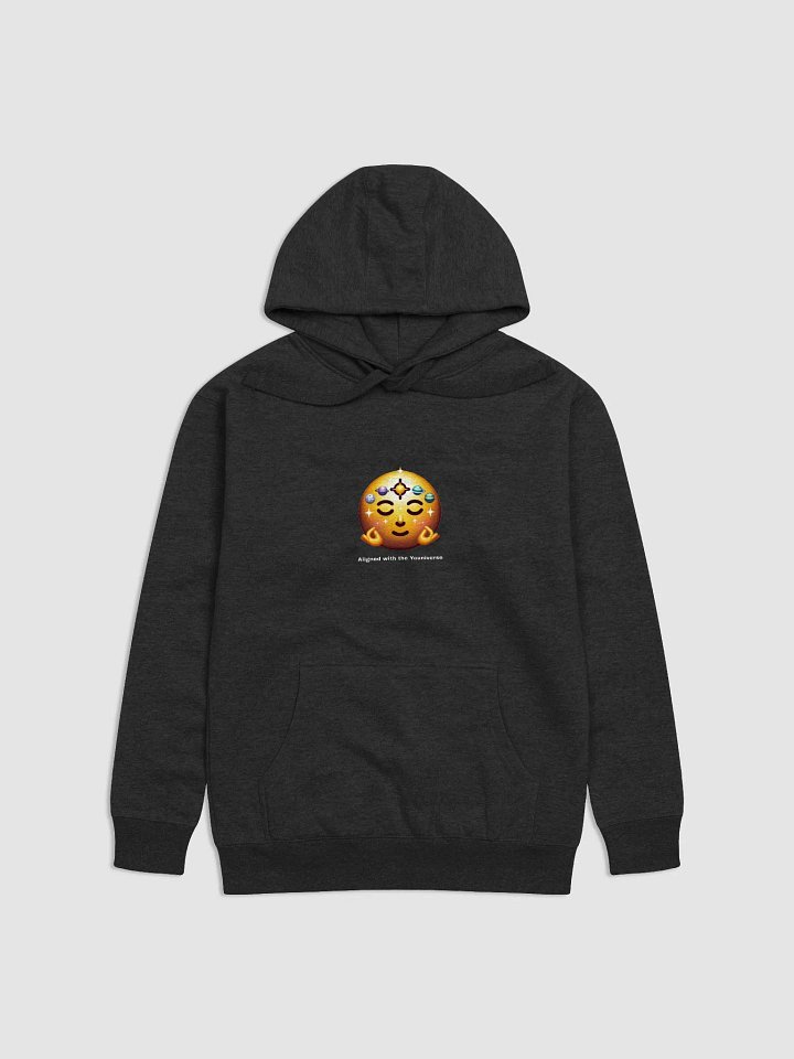 Aligned with the Youniverse Hoodie product image (4)