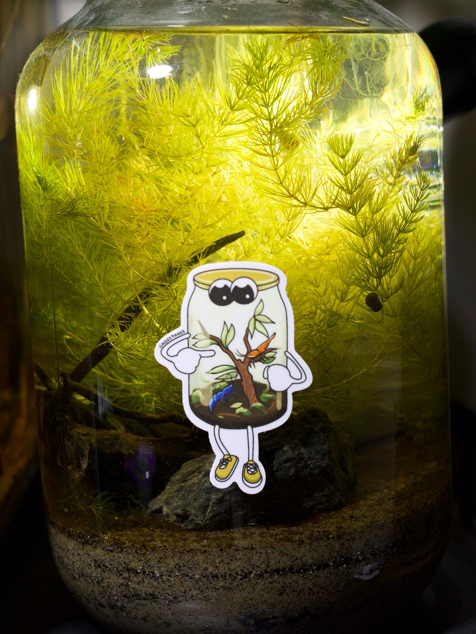 Shrimp Jar Sticker product image (3)