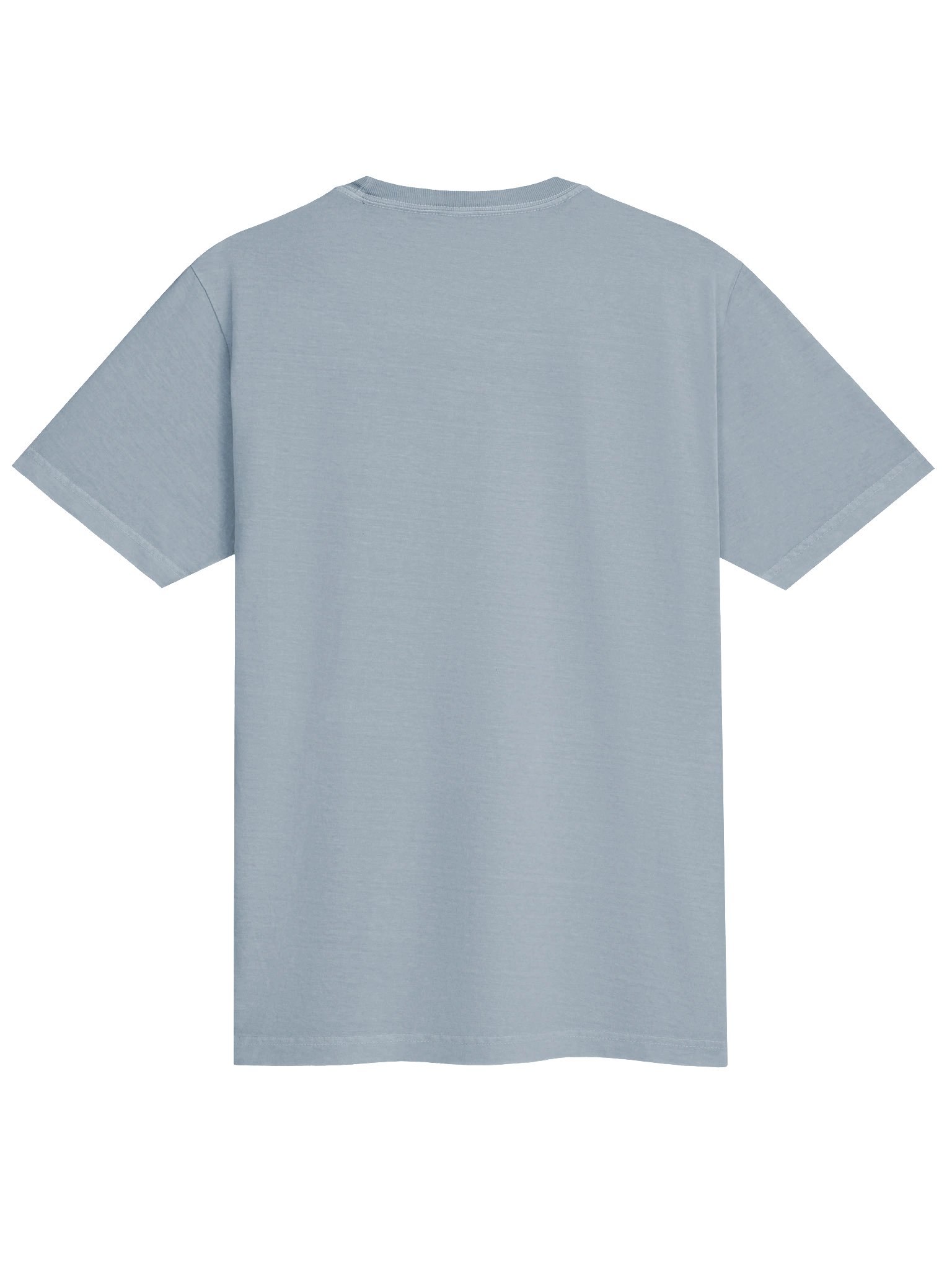 bed bug hand-drawn t-shirt product image (2)