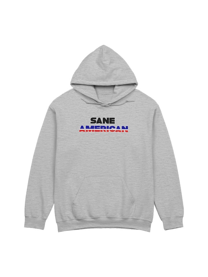 Sane American Hoodie - Satirical Political Sweatshirt product image (2)