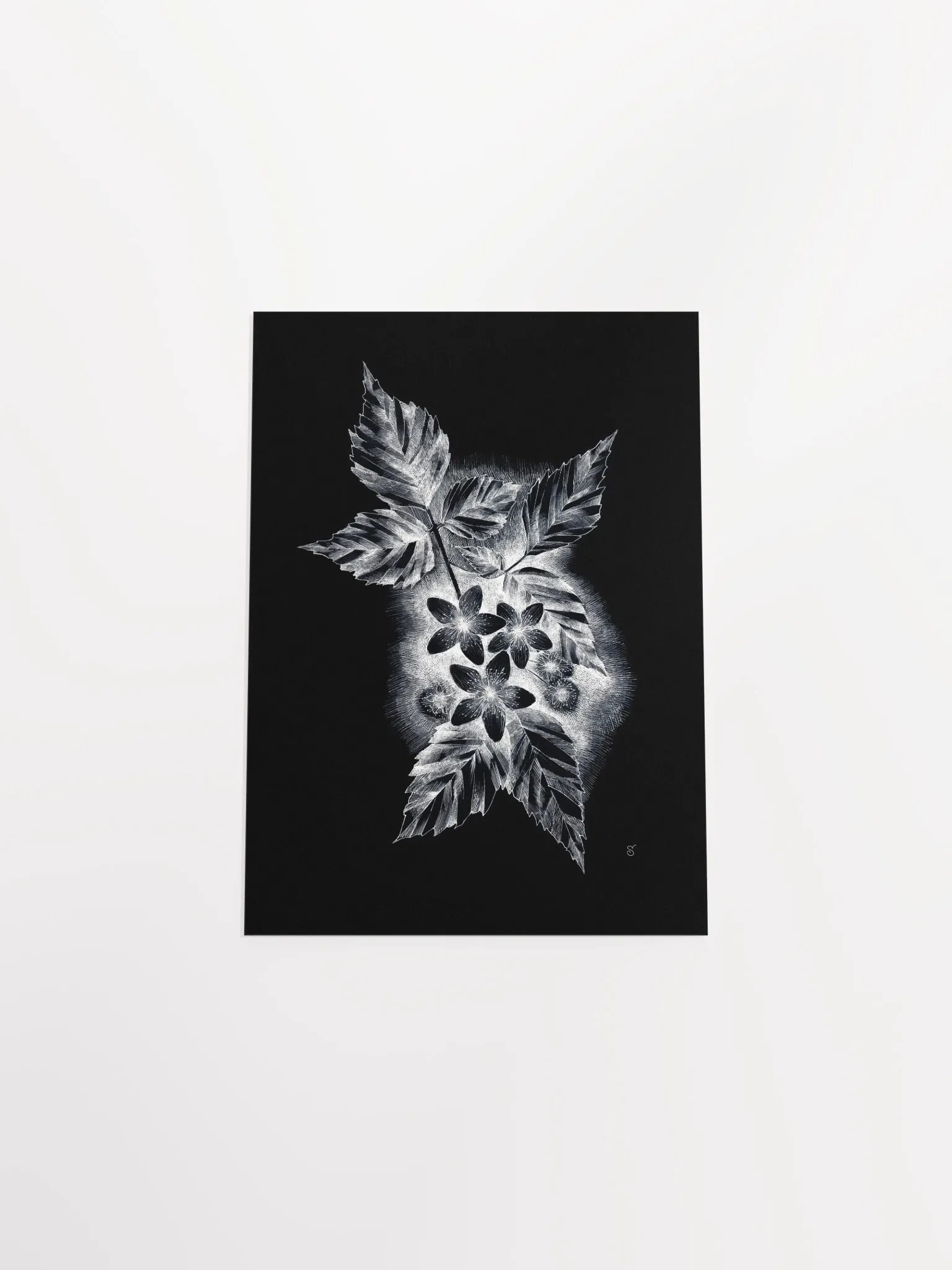 Botanical Bliss Matte Poster - Dark Jasmine product image (4)