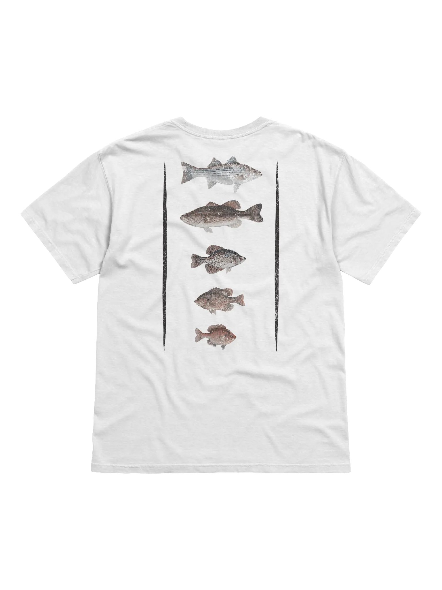 The Fish of Talquin product image (3)