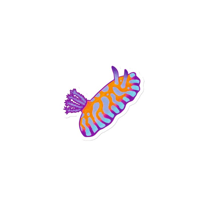 Sea Slugs: Set 1, Chromodoris Roboi - Magnet product image (1)