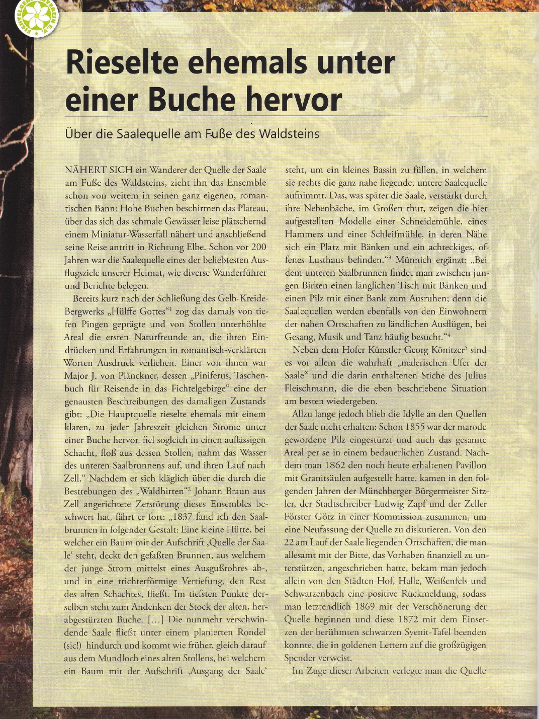 Die Quelle der Saale product image (1)