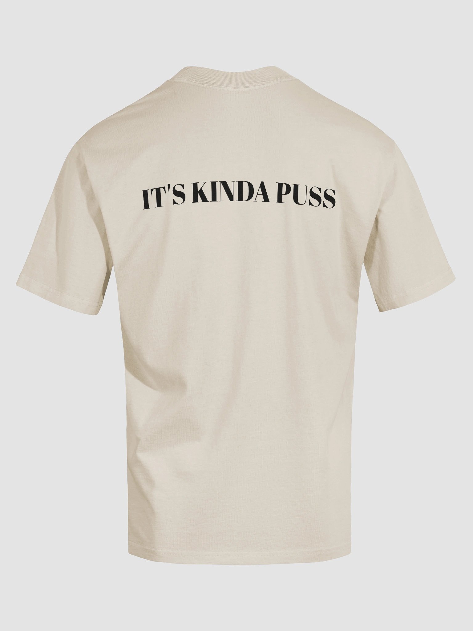 KorbosPuss Oversized T-shirt product image (41)