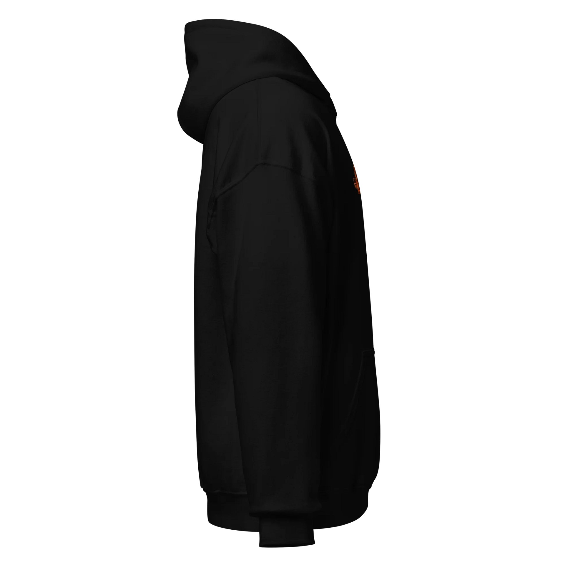 Walking Tiger Embroidered Hoodie product image (8)
