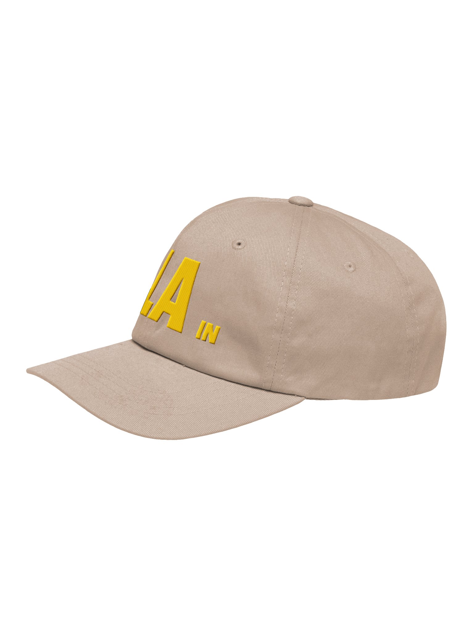 Life in LA Hat - Stone product image (3)