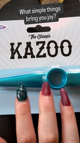 What simple things bring you joy? For me its cute socks with anime characters on them (like these Gudetama ones) & this kazoo...
